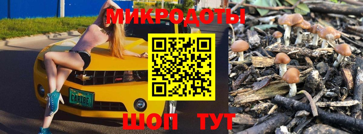 Галлюциногенные грибы Magic Shrooms  Вход с VPN  Котельники 