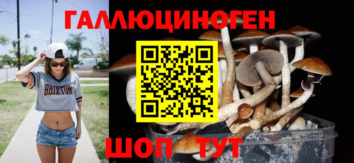 Галлюциногенные грибы GOLDEN TEACHER Котельники