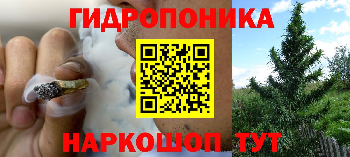Каннабис семена  Вход с VPN  Конопля LSD WEED  Шишки марихуана сатива  Котельники 